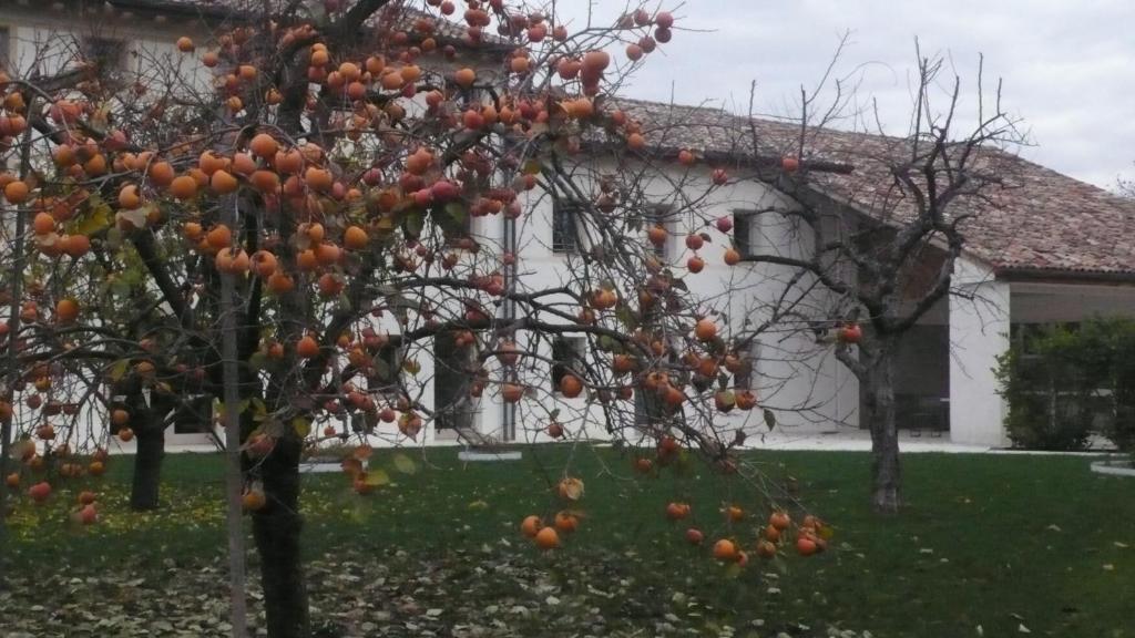 Caspineda Agriturismo Монтебеллуна Экстерьер фото